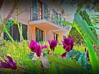 Acroploro * Galaxidi